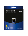 Wise CFexpress 4.0 Type A Mk-II 1TB              WI-CFX4-A1024M2 - nr 3