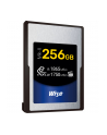 Wise CFexpress 4.0 Type A Mk-II 256GB             WI-CFX4-A256M2 - nr 2