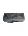 Conceptronic ORAZIO02D-E Ergonomic Keyboard and Mouse - nr 12