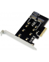Conceptronic EMRICK04B 2-in-1-M.2-SSD-PCIe-Card - nr 20