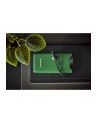 Intenso Powerbank F10000 green 10000 mAh incl. USB-C to Type-C - nr 20