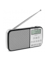 Technisat Techniradio RDR XL srebrny - nr 1