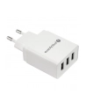 everactive Ładowarka sieciowa 3x USB 3,4A Iq smart charging Biała - nr 3