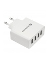 everactive Ładowarka sieciowa 4x USB 5A Iq smart charging Biała - nr 2