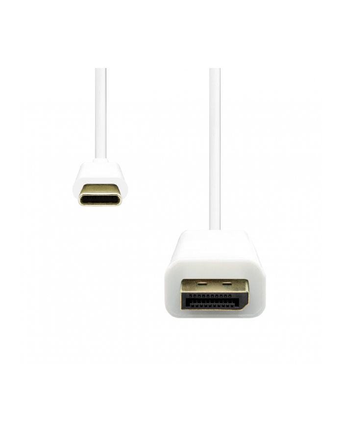 USB-C to DisplayPort Cable 2M główny