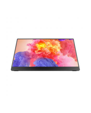Arzopa A1 M - 17,3'' | IPS | Full HD | 1ms