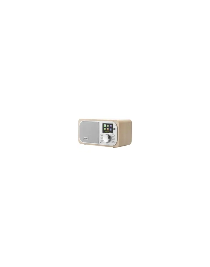 Gogen Radio internetowe z Bluetooth IR237BT DAB+ główny