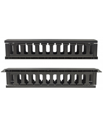 Techly Organizer kabli 2U do szaf rack 19 z pokrywą, czarny (ICASECABLEFR2)