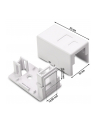 Techly 366327 Obudowa natynkowa na 1 moduł Keystone RJ45 lub RJ11/12 - nr 3