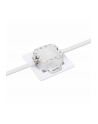 Intellinet 771900 Gniazdo Sieciowe Podtynkowe 2Xrj45 Cat6 10G, Stp, 80X80Mm, Białe - nr 9