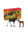 Schleich 42629 Łoś z cielęciem Wild Life - nr 2