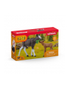 Schleich 42629 Łoś z cielęciem Wild Life - nr 3