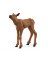Schleich 42629 Łoś z cielęciem Wild Life - nr 6