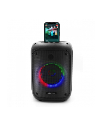 squeak Głośnik Bluetooth 5.0 EDR Beatflow SQ1005 funkcja KARAOKE