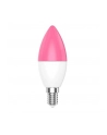 WOOX R9075 Inteligentna smart żarówka WiFi LED RGB CCT 5W E14 WOOX R9075 Inteligentna smart żarówka WiFi LED RGB CCT 5W E14 - nr 8