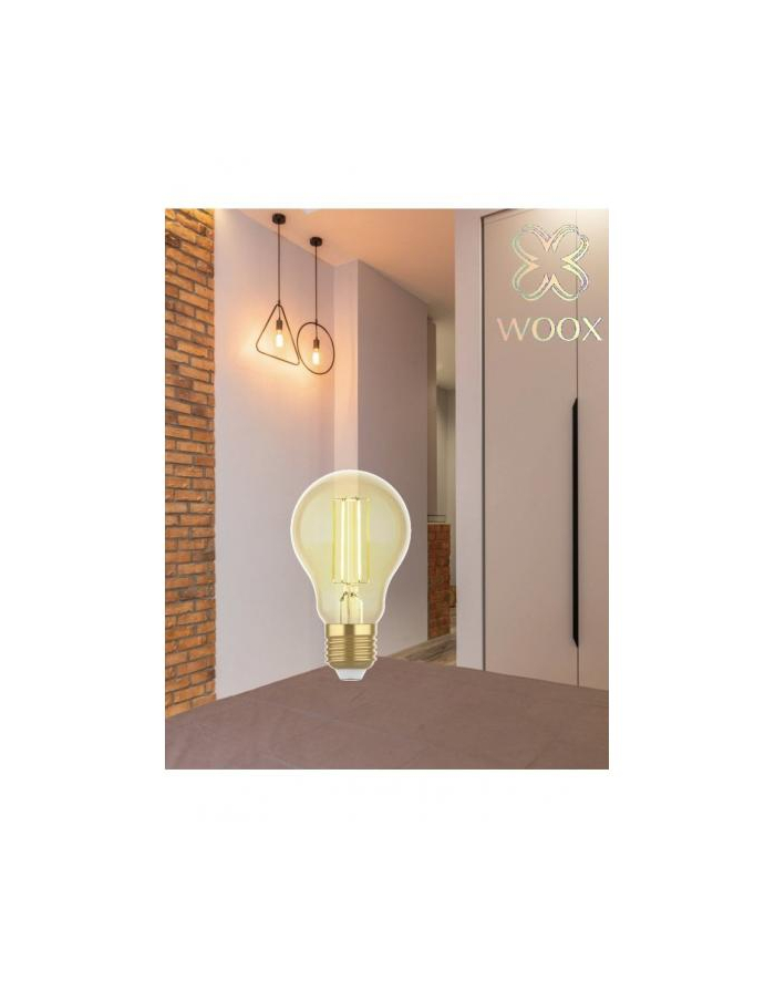 WOOX R5137 Inteligentna smart żarówka Retro WiFi LED 4,9W Filament E27 A60 WOOX R5137 Inteligentna smart żarówka Retro WiFi LED 4,9W Filament E27 A60 główny