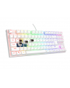 Genesis Thor 303 TKL RGB biała klawiatura mechaniczna | Qwerty | USB 2.0 | 11 klawiszy multimedialnych | podświetlenie RGB - nr 13