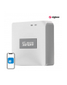 Sonoff ZigBee Bridge Pro - nr 1