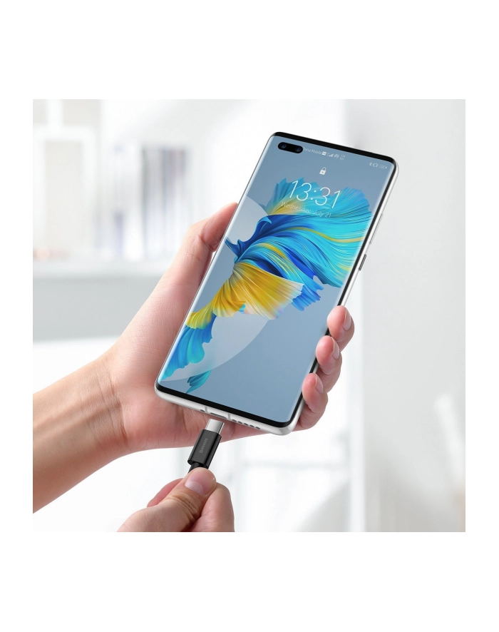 Baseus Superior Series USB do USB-C, 66W, 1m (czarny) główny