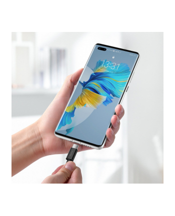 Baseus Superior Series USB do USB-C, 66W, 1m (czarny)