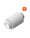 Avatto TRV07 WiFi TUYA - nr 5