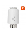 Avatto TRV06 Zigbee 3.0 TUYA - nr 3
