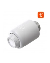 Avatto TRV07 WiFi TUYA - nr 5