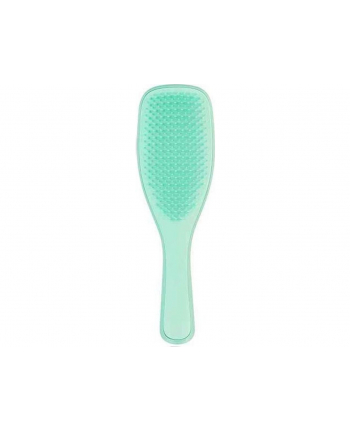 TANGLE TEEZER Wet Detangler Szczotka Do Włosów miętowy