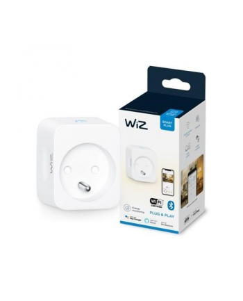 WiZ smart plug powermeter,Max 2300WW,,IP20,Kolor: BIAŁY