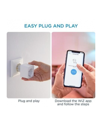 WiZ smart plug powermeter,Max 2300WW,,IP20,Kolor: BIAŁY