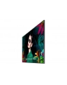 Samsung SMART Signage 65'' QM65C - nr 5