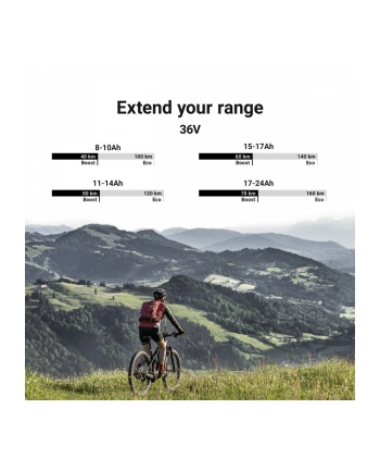 Green Cell 14.5Ah (522Wh) PowerMove 36V E-Bike