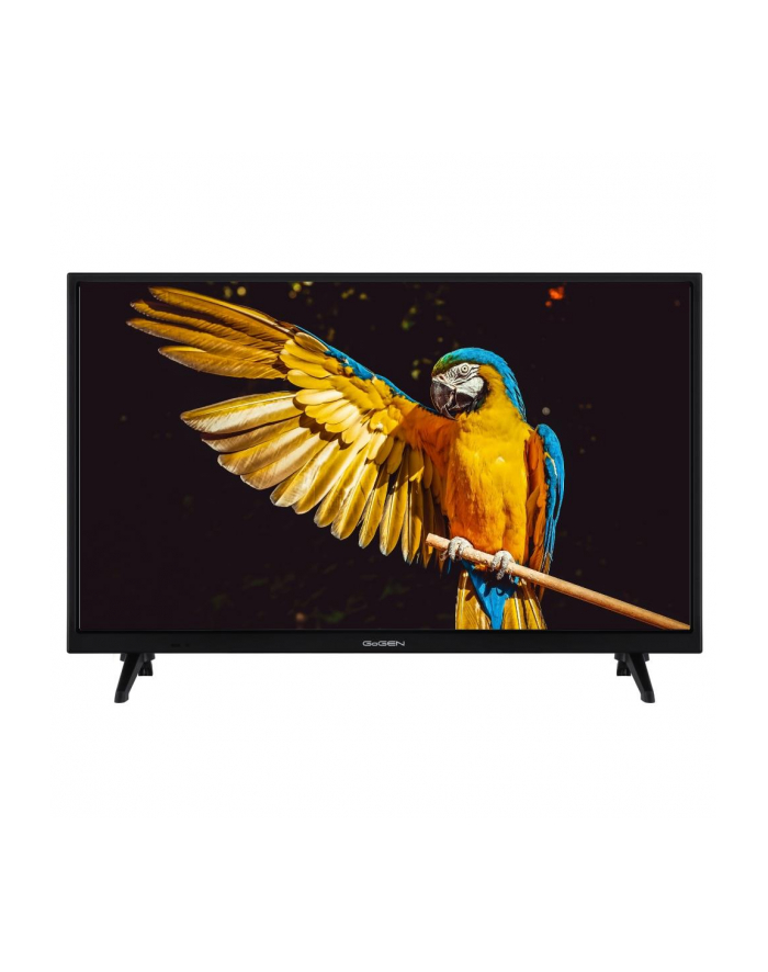 GoGEN TVH24A336 24'' | HD READY | DVB-T2/C/S2 | Smart TV | główny