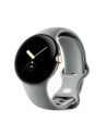 Google Pixel Watch LTE champagne gold/hazel - nr 1