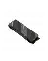 Dysk SSD HIKSEMI FUTUREX LITE 1TB M.2 PCIe Gen4x4 NVMe 2280 (7000/6000 MB/s) 3D NAND HS - nr 1