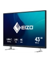 EIZO 43'' FlexScan EV4340X-BK - nr 12