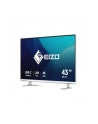 Eizo 42,5'' EV4340X-WT (EV4340XWT) - nr 22