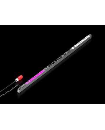 Rittal Pdu Metered 32A3P Cee 24 X Cee73 Schuko (41460187) nr 1