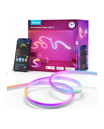 Govee Neon Lights 2 5m H61D5