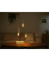 PHILIPS HUE Lightguide White and color ambiance Inteligentna żarówka G95 E27 (929003151101) - nr 6