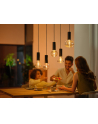 PHILIPS HUE Lightguide White and color ambiance Inteligentna żarówka G95 E27 (929003151101) - nr 7