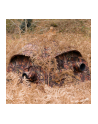 Buteo Photo Gear Aquila Mark III - nr 9