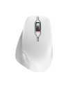 CHERRY Mouse STREAM COMFORT Wireless Kolor: BIAŁY - nr 14