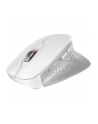 CHERRY Mouse STREAM COMFORT Wireless Kolor: BIAŁY - nr 22