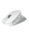 CHERRY Mouse STREAM COMFORT Wireless Kolor: BIAŁY - nr 34