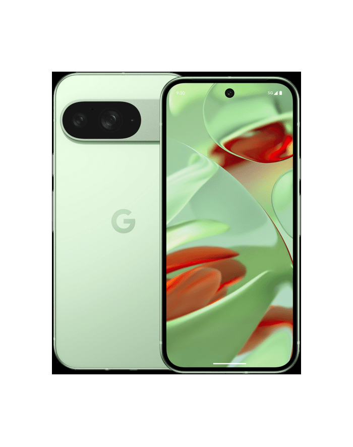 Google Pixel 9 (128GB) wintergreen główny