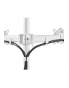 oneforall One for All Monitor Halterung Smart Dual White         DM 2220 - nr 9