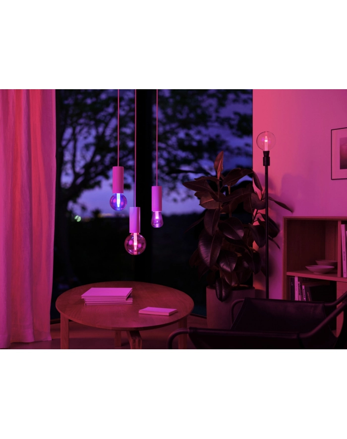 PHILIPS HUE Lightguide White and color ambiance Inteligentna żarówka G95 E27 (929003151101) główny