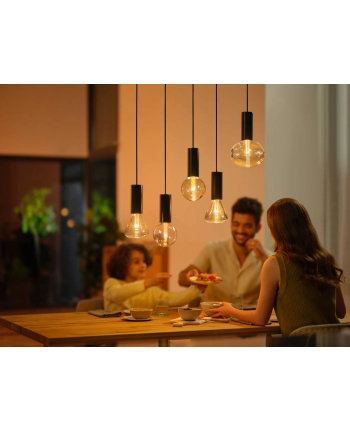 PHILIPS HUE Lightguide White and color ambiance Inteligentna żarówka G95 E27 (929003151101)