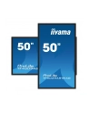 iiyama Monitor 50 cali TF5039AS-B1AG, VA,4K,HDMIx2,DP,RJ45,3xUSB,2x10W,      ANDROID,24/7,IP65 - nr 17